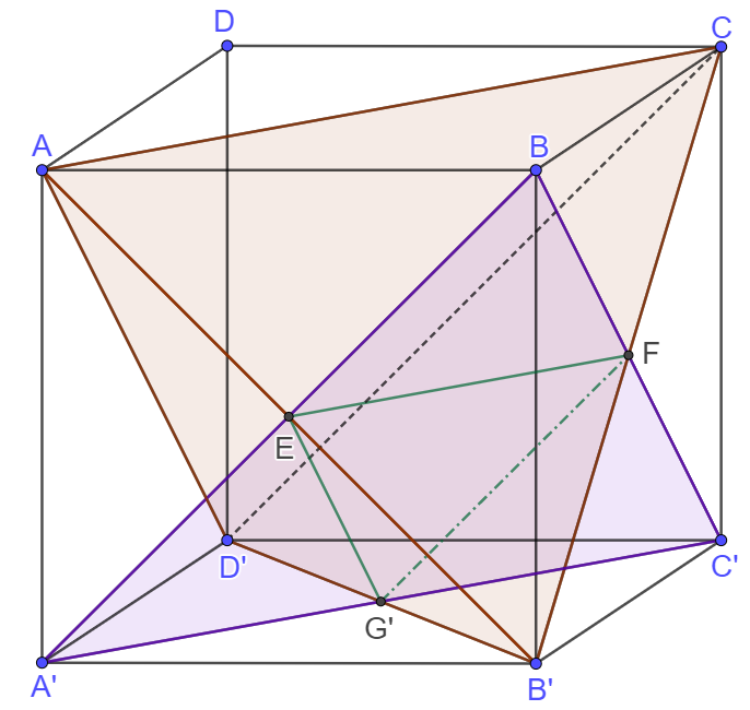 image-20210222002937783