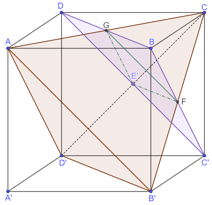 image-20210222004318557