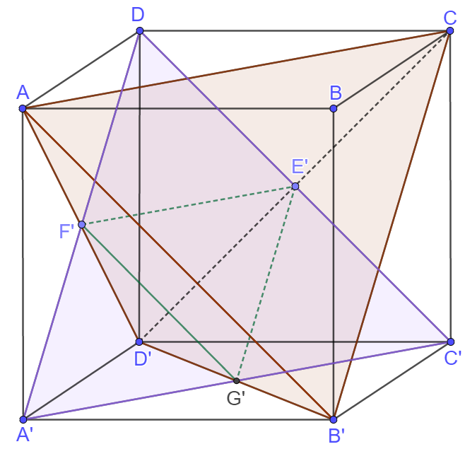 image-20210222005246588